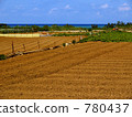 field, Ryukyu, red soil 780437