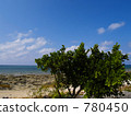 full summer, midsummer, summer weather 780450