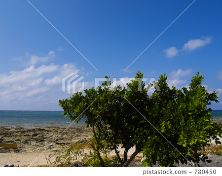 仲夏 夏季天空 海平面 780450