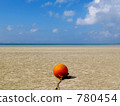 horizon, day, daytime 780454
