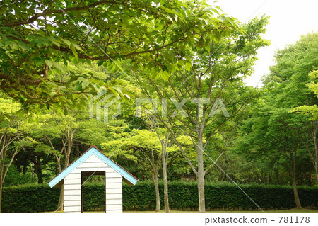 Park's tree house Park's tree house 781178