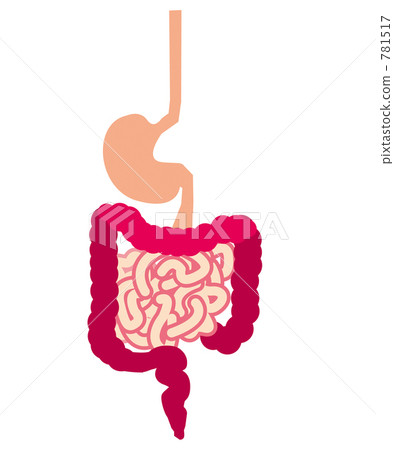 Digestive organ 781517