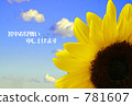 向日葵 781607