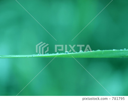 一個球體 小顆粒狀的 活力 781795