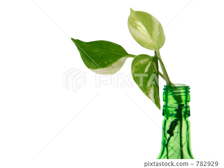 玻璃瓶和Potos 玻璃瓶和Potos 782929