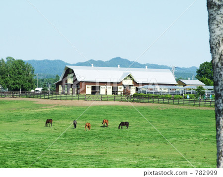 graze, grazing, pasturage 782999