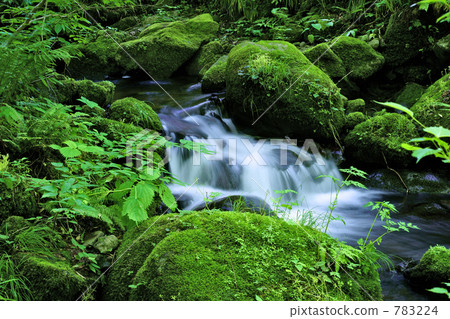 Early summer mountain stream 5 Early summer mountain stream 5 783224