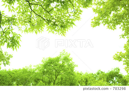 Fresh green Fresh green 783298
