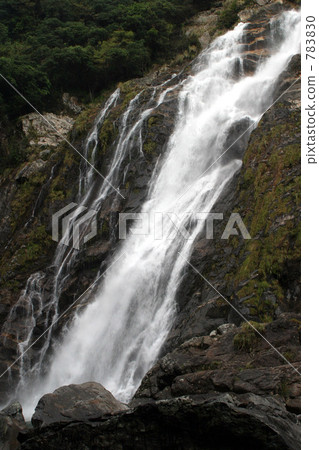 大子秋天 屋久島 鹿兒島 783830