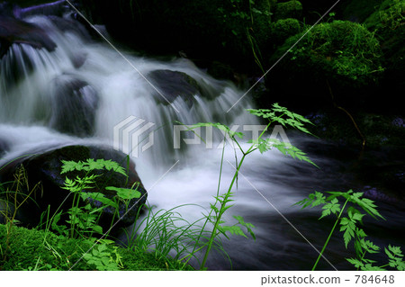 Early summer stream 6 Early summer stream 6 784648