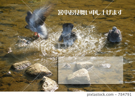 Bathing 784791