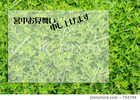 Grass 784794