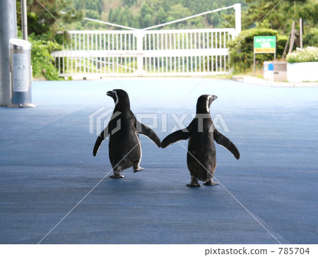 Friendly march 785704