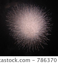 sumitagawfireworks festival, full summer, midsummer 786370