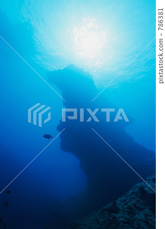 yoron island, in the sea, undersea 786381