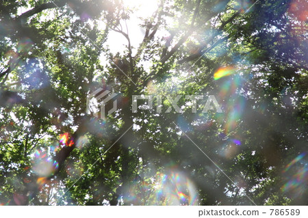 glass, backlight, backlit 786589