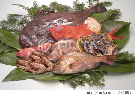 魚集 魚集 786695