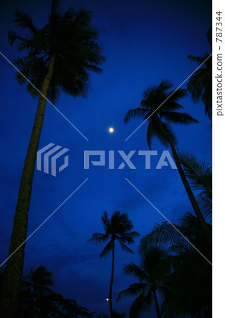 度假夜空 787344