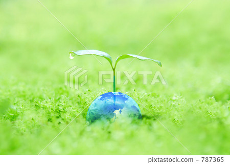 Ecology image 787365