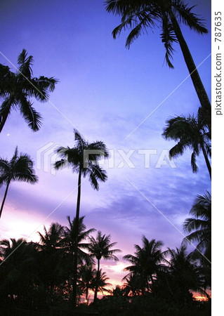 In the evening of the resort In the evening of the resort 787635