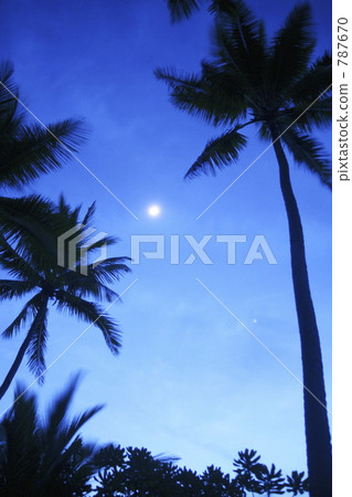 Dawn of the resort 787670