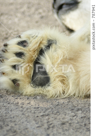 旭山動物園北極熊爪子袋 787941
