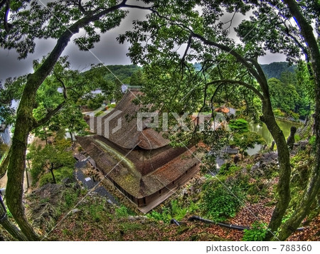 eiho-ji, eihoji temple, mountain forest 788360