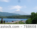 Mount Fuji and Shimodo Lake 788608