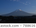 Mt. Fuji and rice field 788616