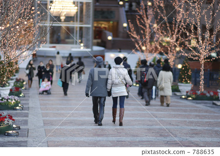 ebisu, christmas tree, christmas trees 788635