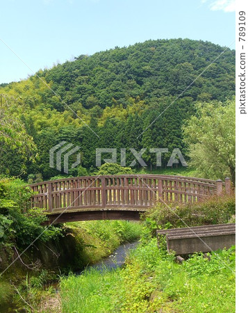 Bridge over Ogawa Ichi 789109