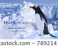 Hot summer ceremony (penguin) 789214