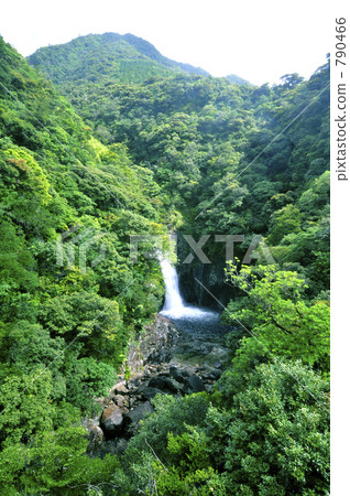 屋久島龍津瀑布 屋久島龍津瀑布 790466