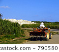 sugarcane field, cultivator, farm tractor 790580