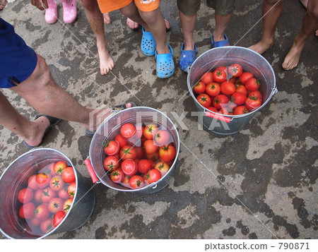 Behavior after rice planting Mature ripe tomato Behavior after rice planting Mature ripe tomato 790871