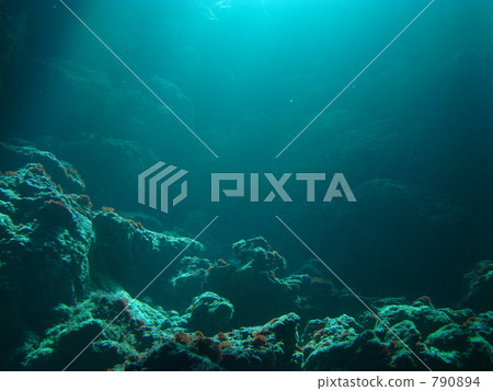 海底的 海裡 洞穴 790894