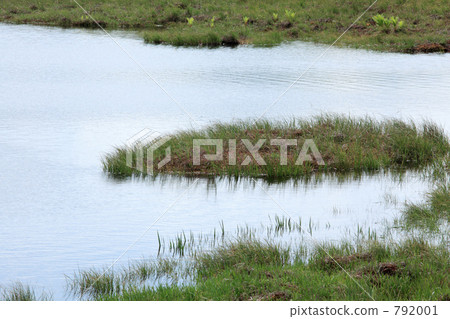 Pond of wetland 792001