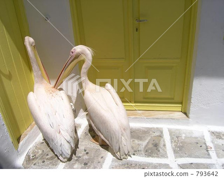 米克諾斯島，希臘米克諾斯鎮 793642