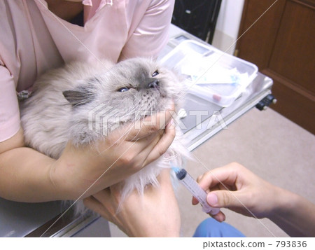 Injection time 793836