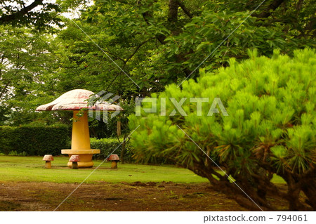 A mushroom resting place A mushroom resting place 794061