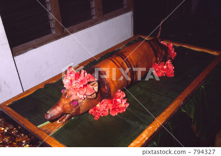 Roast of pigs Roast of pigs 794327