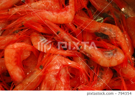 甜蝦 794354