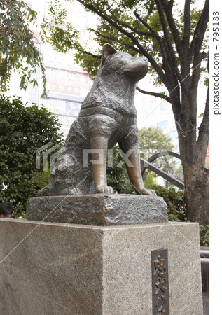 appointment, hachiko, faithful dog hachikou 795183