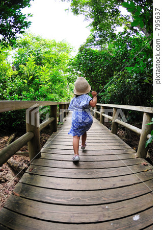 I will miss the ship! Iriomote Island 795637