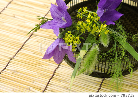 Early autumn flowers Early autumn flowers 795718