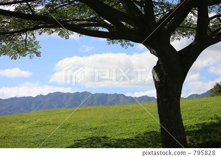 風景 風景 795828