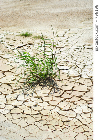 Cracked ground 796196