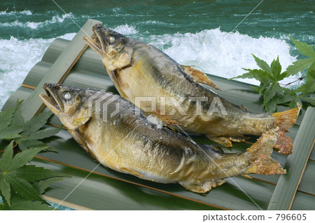 香魚的鹽烤圖像 香魚的鹽烤圖像 796605