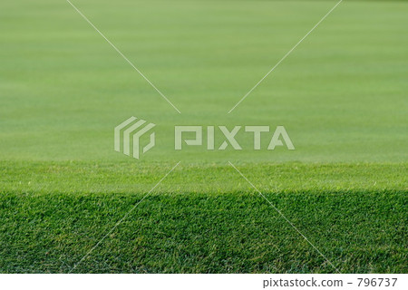Green edge Green edge 796737