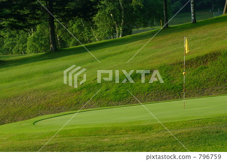 高爾夫球場綠色 796759